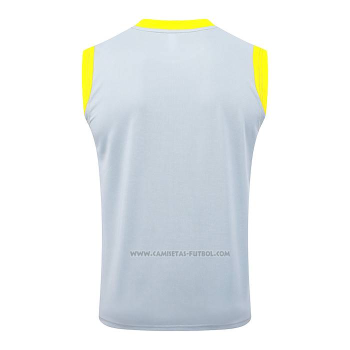 Camiseta de Entrenamiento Borussia Dortmund Sin Mangas 2025-2026 Gris